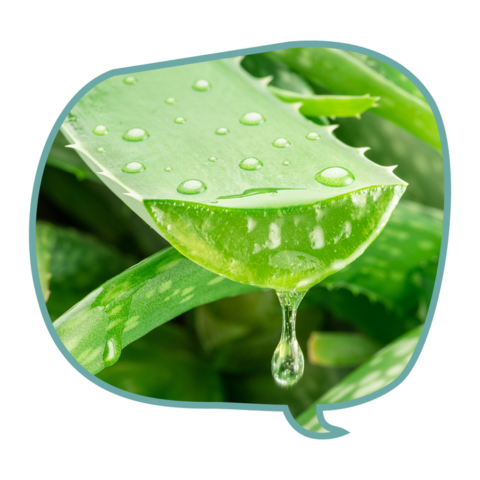 ALOE VERA